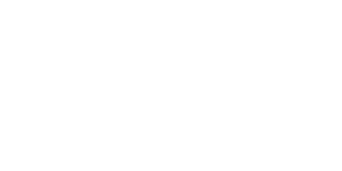 pp-dynamics-logo-white